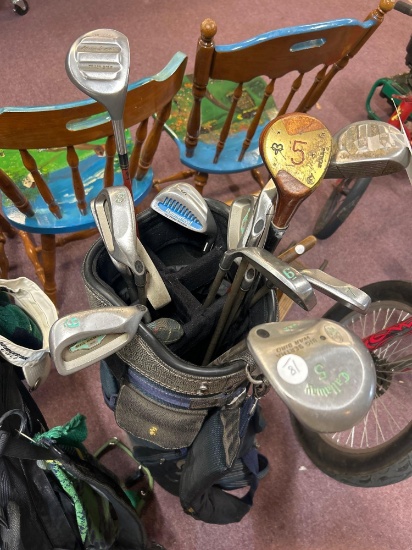 golf clubs in bag