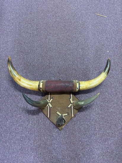 Bull horns with horn hat hooks