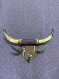 Bull horns with horn hat hooks