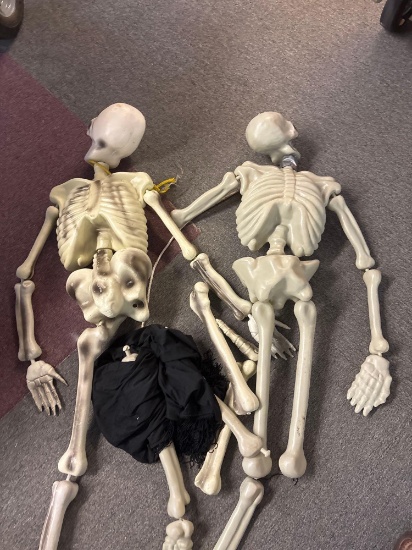 Halloween hanging skeletons