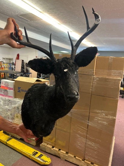 buck head decoration