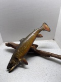 Taxidermy brown trout