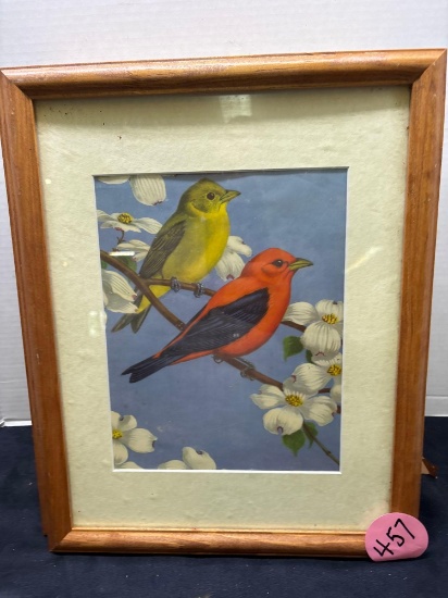 Four framed bird prints