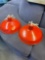 Red enamel pendant lights