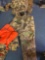 outdoor hunting Clothing