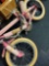 New MonTresor Bicycle will need assembled