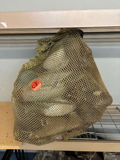 Bag of duck decoys