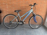 Schwinn bicycle