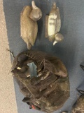 bag of duck decoys