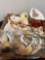 Seashell collection