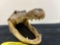 Gator head