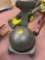 exercise ball