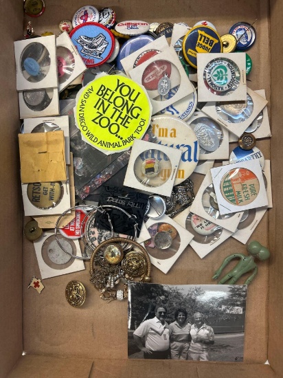 collectible pins and buttons