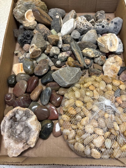 Geode, fossil rocks, polished stones