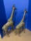 Brass giraffes