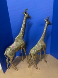 Brass giraffes