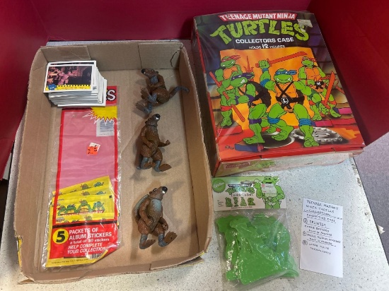 teenage Mutant Ninja Turtles collection