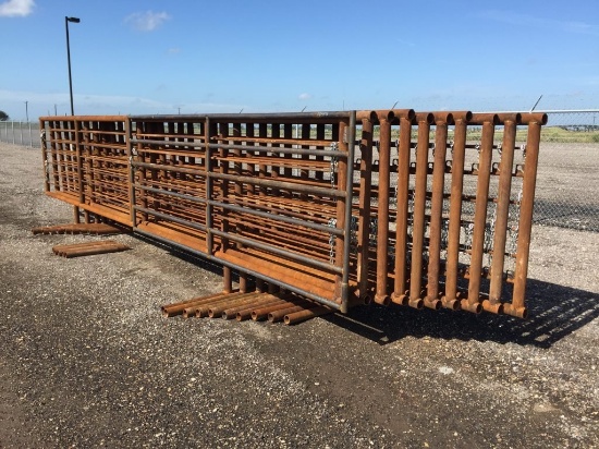 (10) 24' CATTLE PANELS;