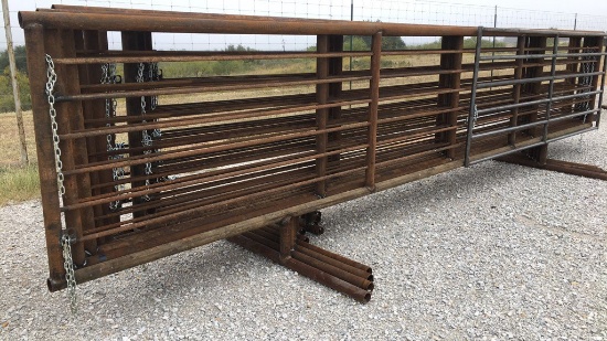 (10) 24' CATTLE PANELS;