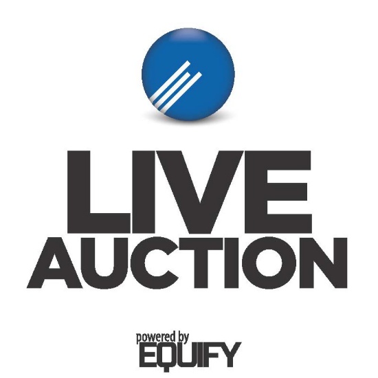 ABSOLUTE Heavy Equipment Auction