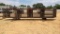 (10) 24' CATTLE PANELS W/GATE