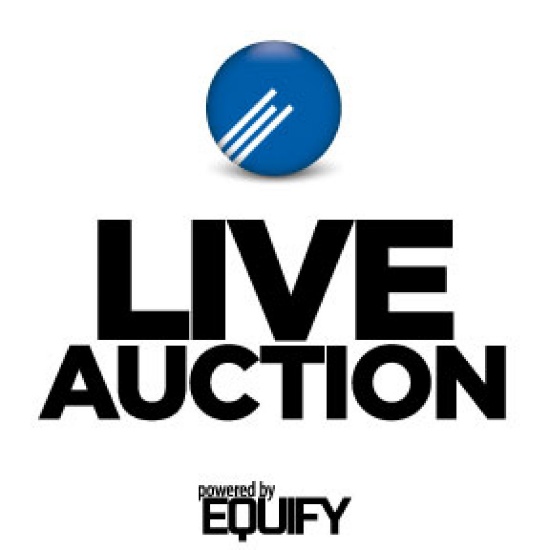 ABSOLUTE Heavy Equipment Auction