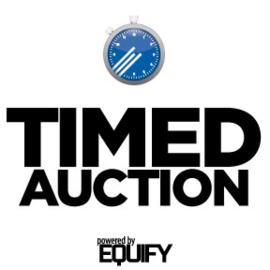 TIMED ABSOLUTE AUCTION