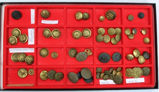 14 1/2" x 8" Display Case Full of Brass Military Buttons Covering a Wide Span of Years