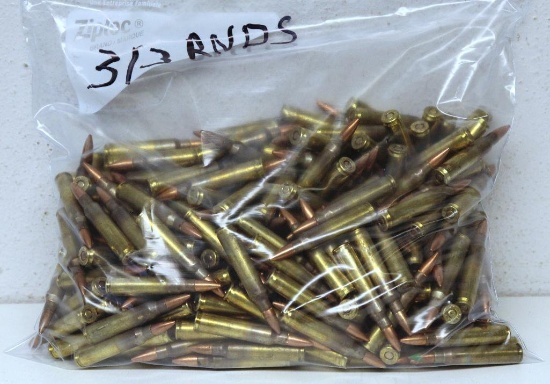 313 Rounds 5.56 mm Mixed Cartridges