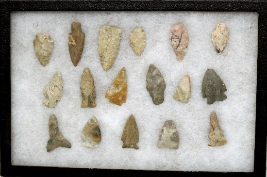 Frame 12"x8" Native American Indian Arrowheads, Knives, Tools