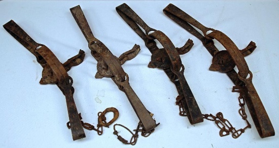 (3) Victor No. 3 Double Long Spring Fur Traps and Victor No. 4 Double Long Spring Fur Trap