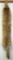 Tanned Coyote Fur - 64