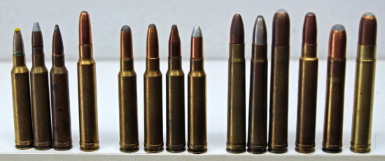 14 Mixed Magnum Collector Cartridges - 3 Norma .308 Mags, Weatherby .340 Mag, 4 .338 Win. Mags, 3