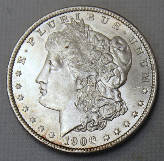 1900 Morgan Dollar