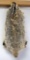 Badger Fur Tanned, Snout to End of Tail 30