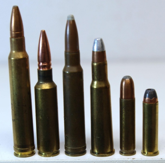 Mixed Lot Collector Cartridges - 8 mm Remington Mag., .325 WSM, .338 Winchester Mag., .348