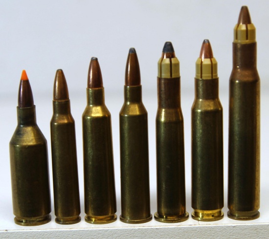Mixed Lot Collector Cartridges - .223 WSSM, .223 Remington, .22-250 Remington, .225 Winchester, .22