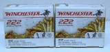 2 Full Boxes of 222 Rounds Each Winchester .22 LR Hollow Point Cartridges