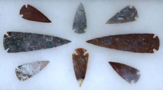 14 1/2" x 8" Frame Contemporary Arrowheads and Spear Points