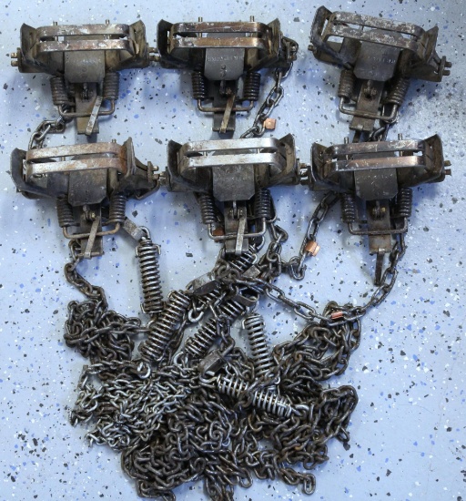 6 Bridger #2 Double Coil Spring Leg Hold Traps