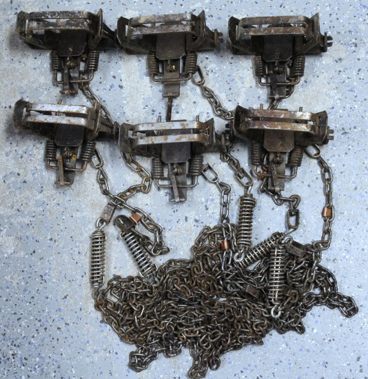 6 Bridger #2 Double Coil Spring Leg Hold Traps