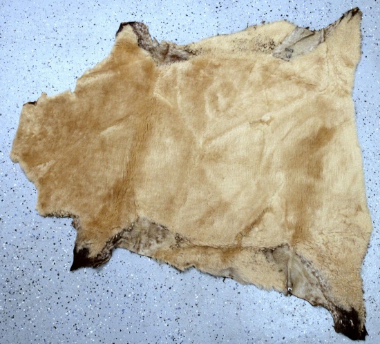 Tanned Dyed Sheepskin, 41" Long, 40" Wide at widest point
