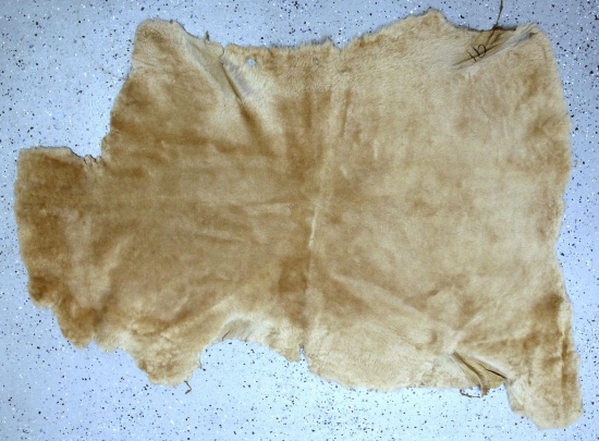 Tanned Dyed Sheepskin, 45" Long 35" Wide at widest point