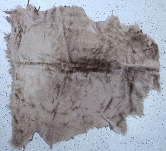 Tanned Dyed Sheepskin, 38" Long 36" Wide at widest point