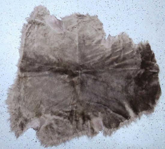 Tanned Dyed Sheepskin, 37" Long 38" Wide at widest point