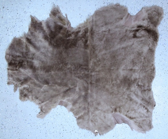Tanned Dyed Sheepskin, 43" Long 39" Wide at widest point
