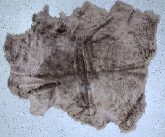 Tanned Dyed Sheepskin, 42" Long 38" Wide at widest point