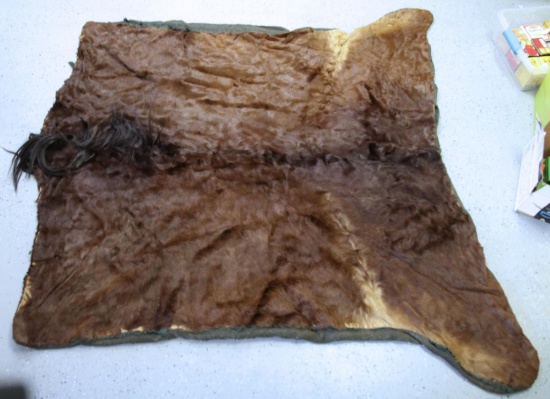 Horse Hide Rug, 63" Long at Mane, 52" Wide