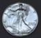 1989 Silver Eagle .999 Silver Bullion