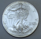 2006 Silver Eagle .999 Silver Bullion